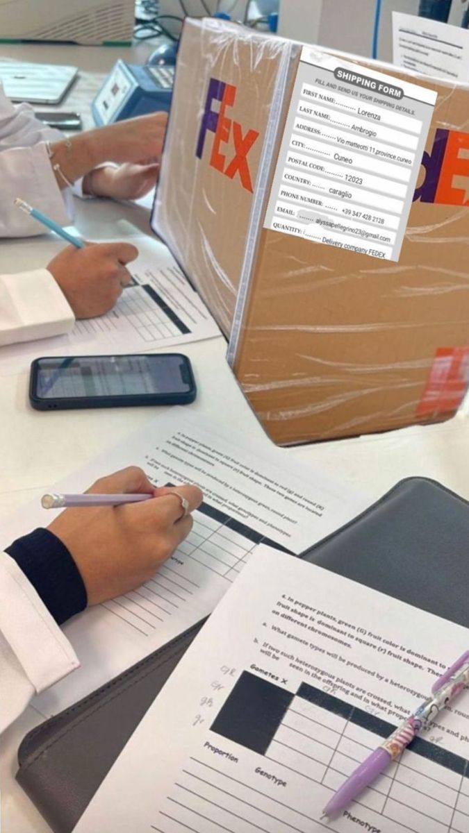 Satisfacción